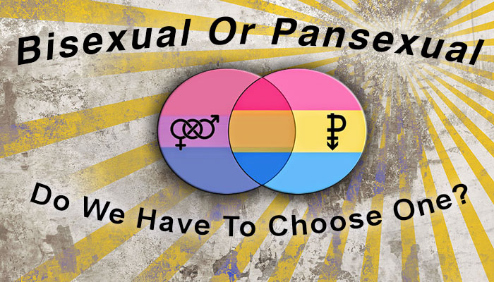 Bisexual or Pansexual - Choose One
